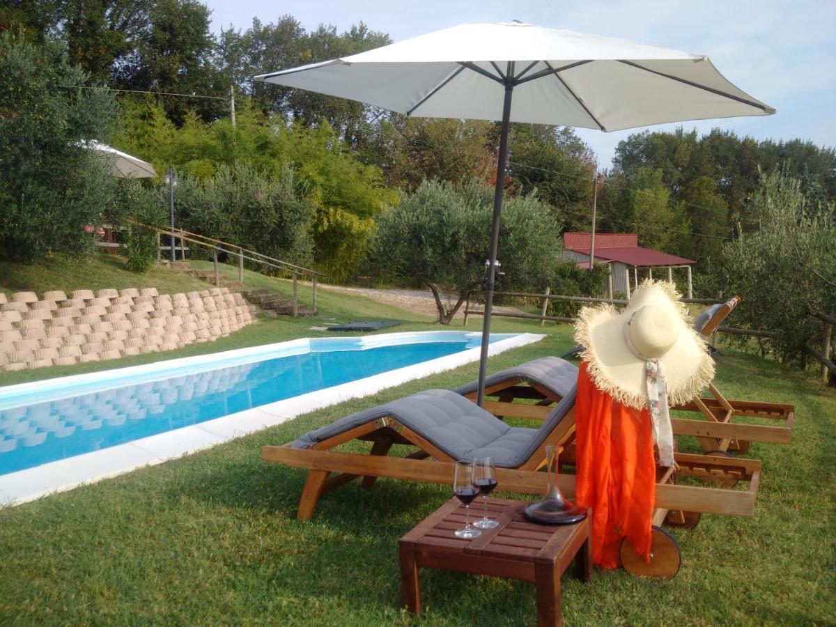Villa Sant'Elena Morro d'Alba Luaran gambar