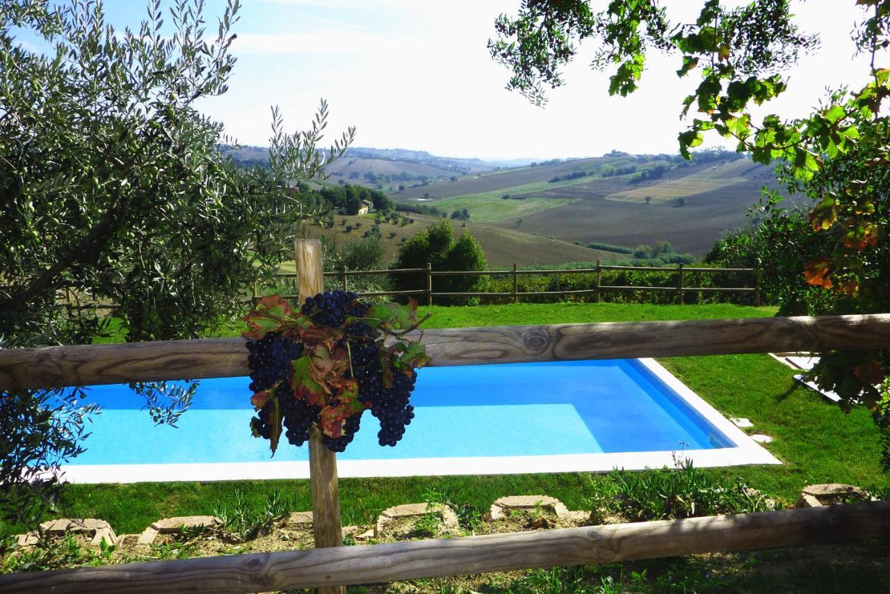 Villa Sant'Elena Morro d'Alba Luaran gambar