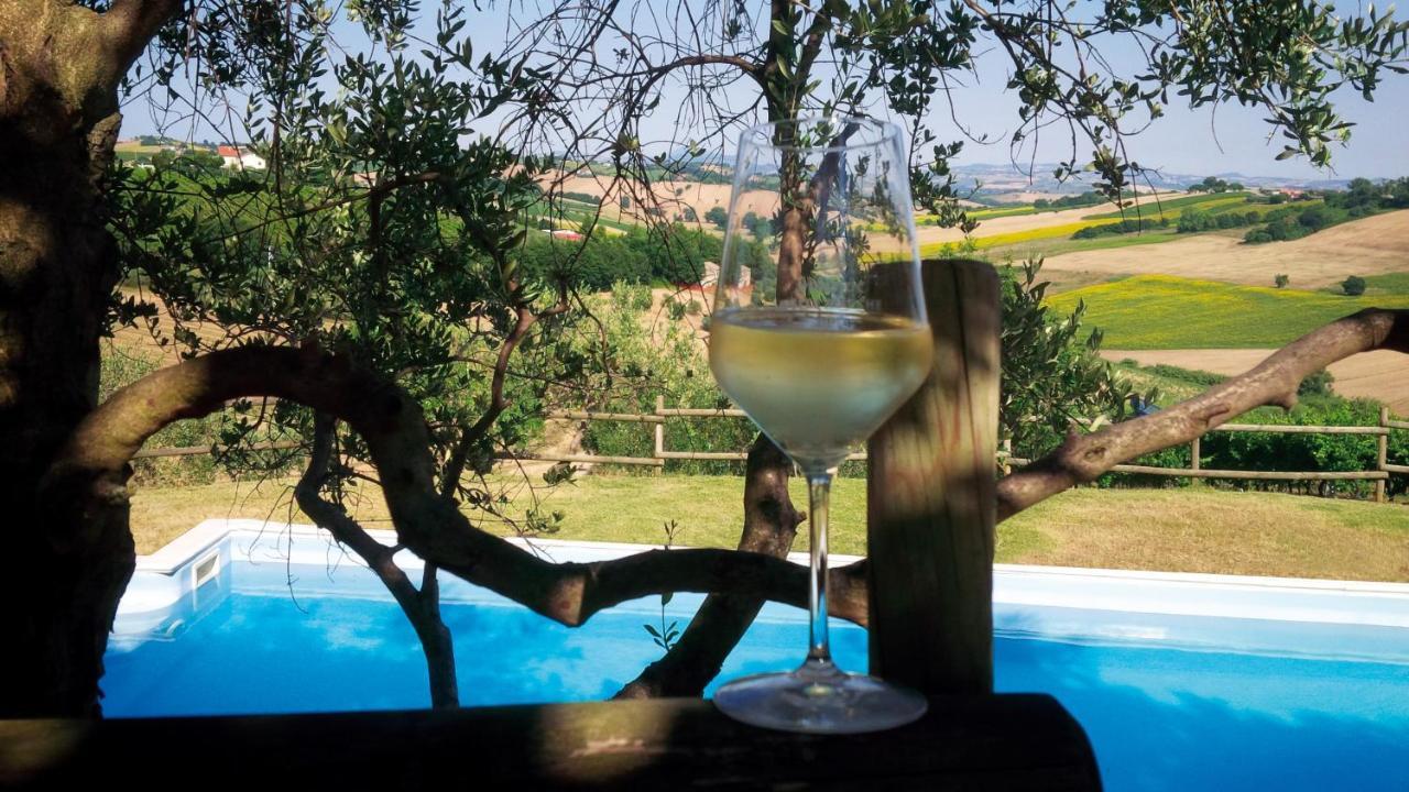 Villa Sant'Elena Morro d'Alba Luaran gambar